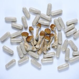 psilocybin mushroom pill